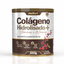MELFORT - COLAGENO HIDROLISADO EM PO 330G