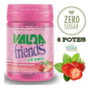 VALDA FRIENDS MORANGO POTE 6X50G