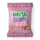 VALDA FRIENDS MORANGO SACHE 10X25G